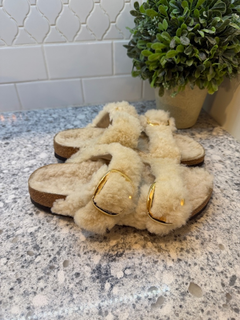 Birkenstock Papillio Arizona Big Buckle | Teddy Eggshell | EU 38| US L87 Gold